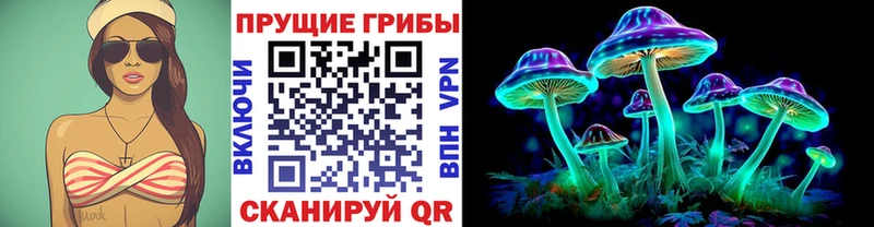 наркота  Асбест  kraken онион  Галлюциногенные грибы Psilocybe 