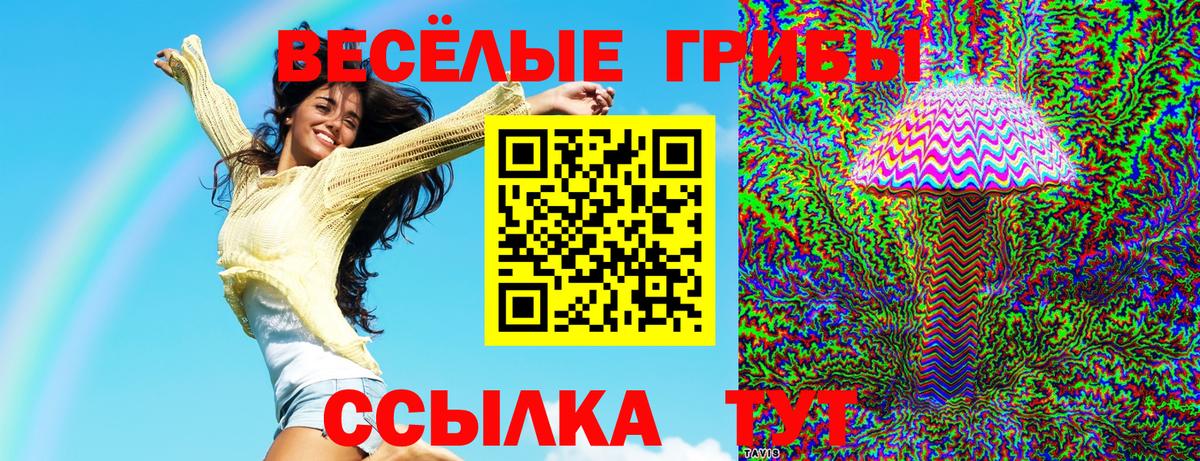 где продают   Асбест  Галлюциногенные грибы Magic Shrooms  Галлюциногенные грибы MAGIC MUSHROOMS 